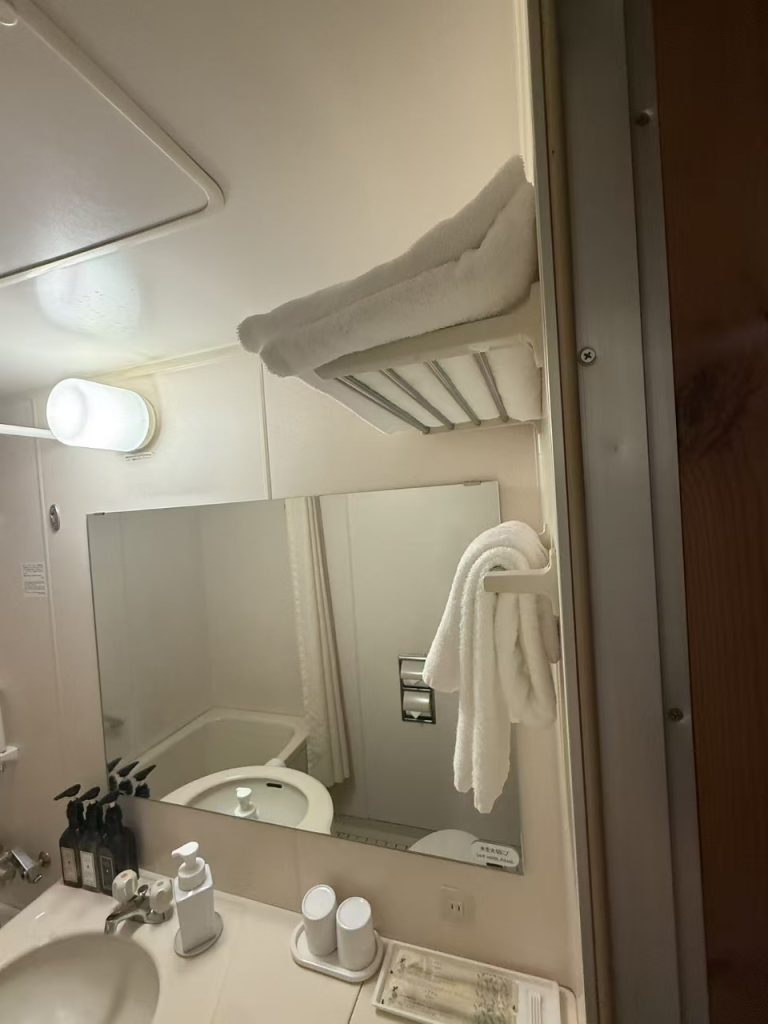 轻井泽王子酒店 公共设施清洁 第4张