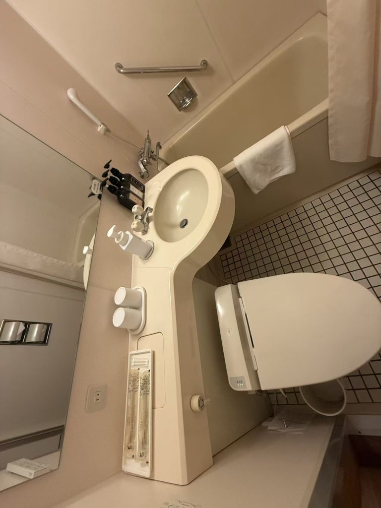 轻井泽王子酒店 公共设施清洁 第10张